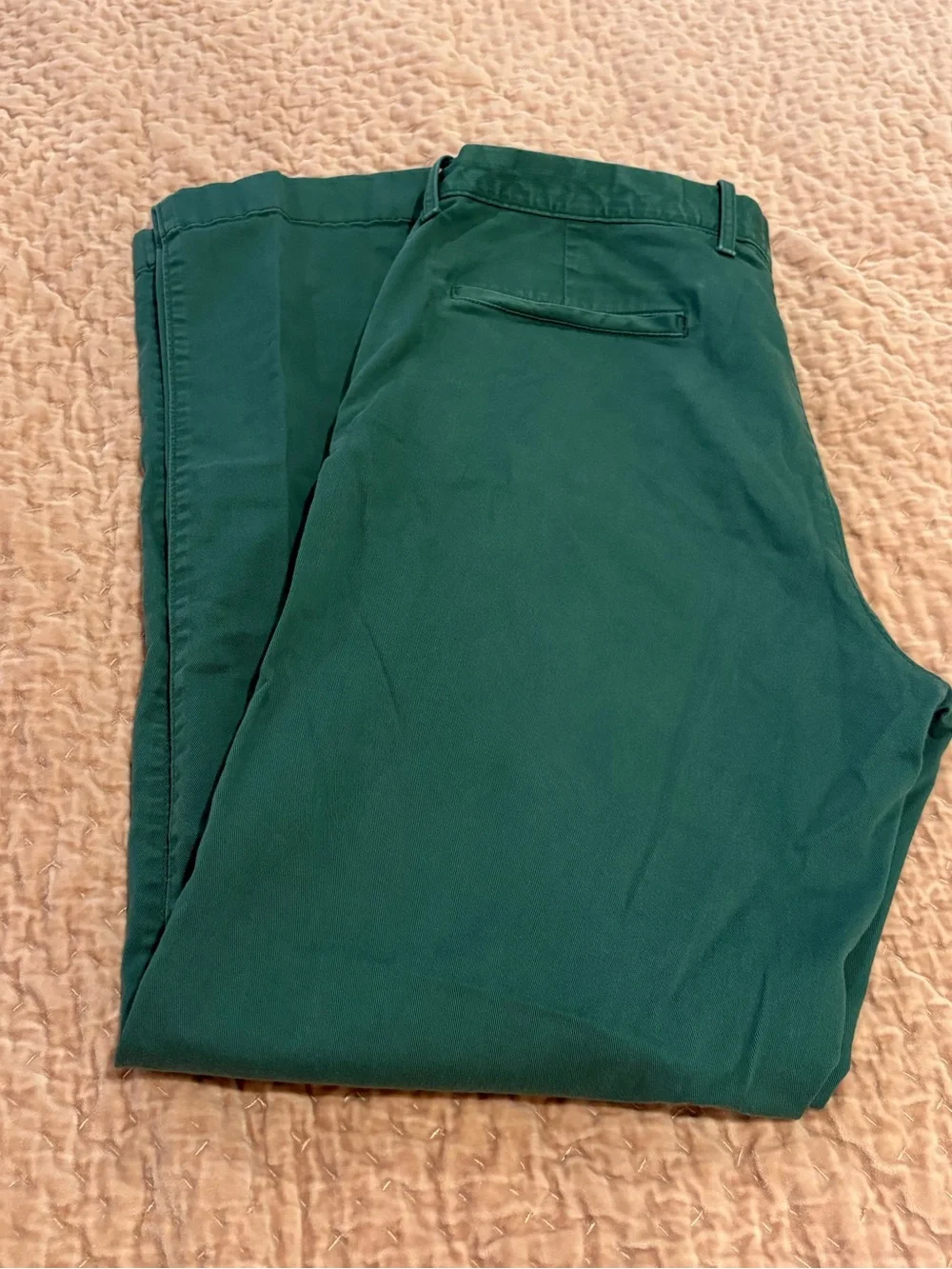 J. Crew Green Chino Pants